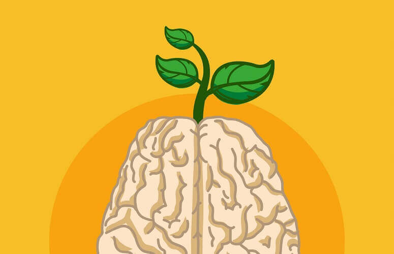 The 4 best home business ideas and opportunities